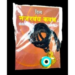 Orgonutri Roasted Chana / Desi Chickpeas (500g)