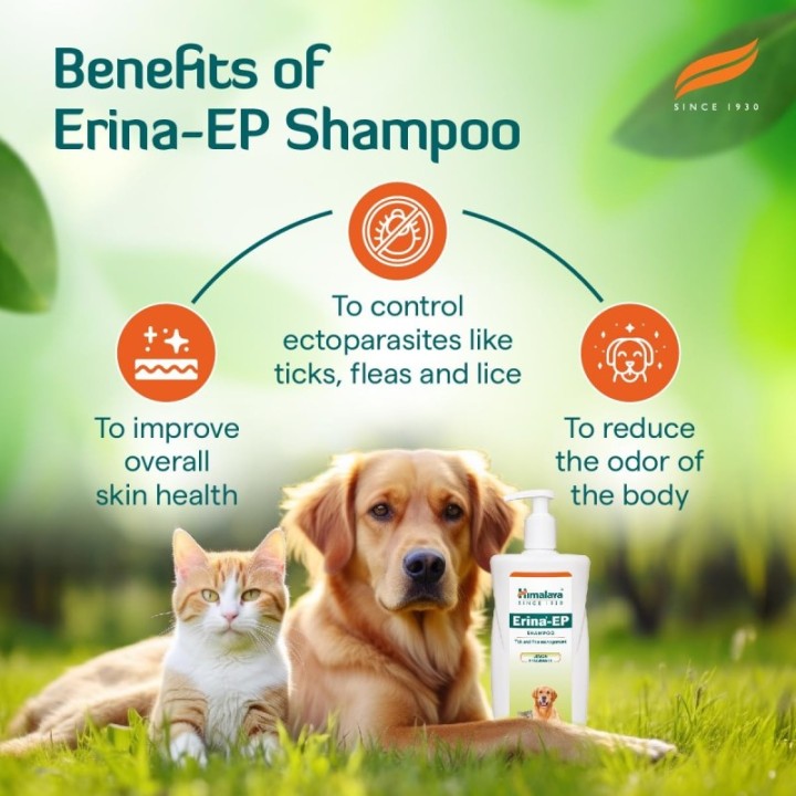 Himalaya Erina-Ep Powder Tick & Flea Control For Dogs & Cats (150g)