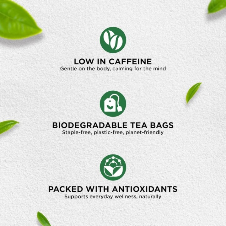 Jivraj9 Tulsi Green Tea / Holy Basil Infusion Bags (25 Bags)