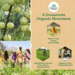 Orgonutri Kerala Tamarind 100g