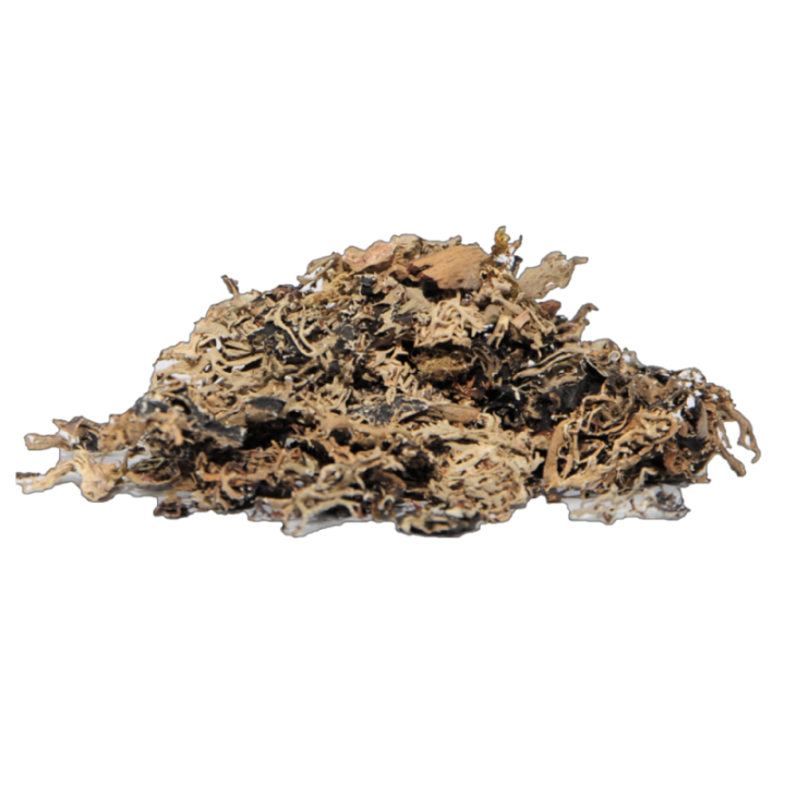 Satvik Stone Flower Spice Pathar Phool Dagad Phool Kalpasi, for Your