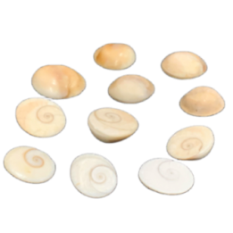 Satvik Natural Gomti Chakra Pack of 11