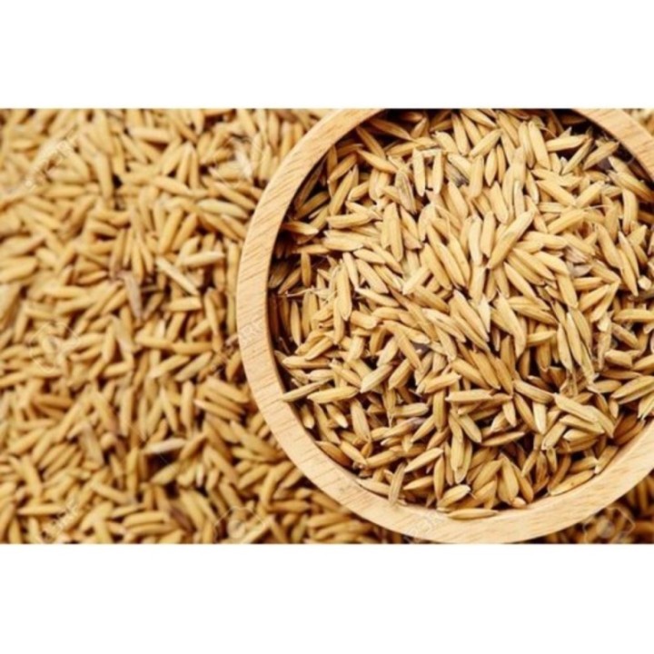 Satvik Gehu Ke Dhan Ke Beej, Vadlu (Wheat Paddy Seeds) Pooja Dhan