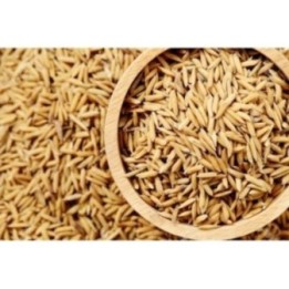 Satvik Gehu Ke Dhan Ke Beej, Vadlu (Wheat Paddy Seeds) Pooja Dhan