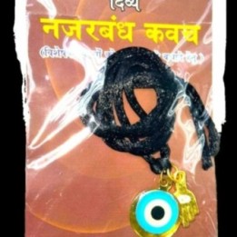 Orgonutri Roasted Chana / Desi Chickpeas (500g)