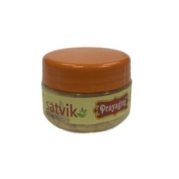 Satvik Prayagraj Chandan Powder 50 G