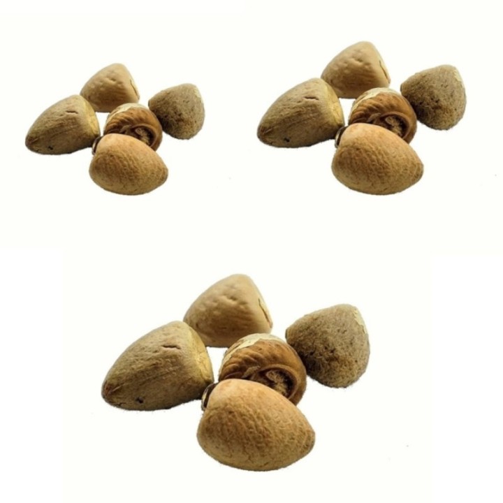 Satvik Whole Pooja Supari (Betel Nut Whole ) 20 (Pcs) for Prayer