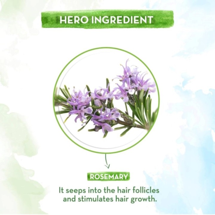 Mamaearth Rosemary Essential Oil for Hair Growth - 100% Pure