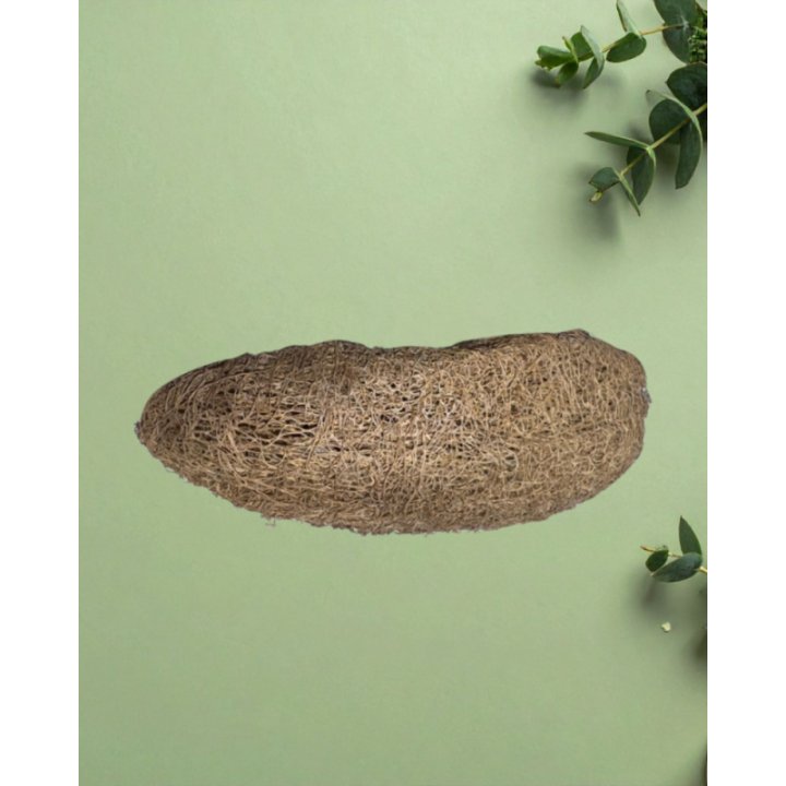 Natural Loofah from Bottle Gourd (Vegetable Luffa) 100% Organic Bath