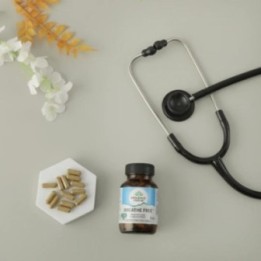 Organic India Breathe Free Respiratory Relief (60 Capsules)