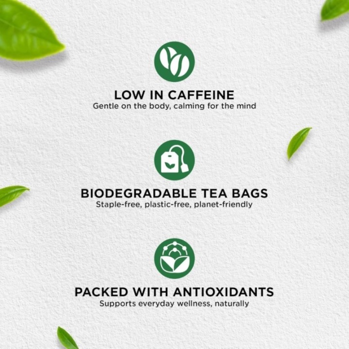 Jivraj9 Mint Green Tea 25 Biodegradable Tea Bags Refreshing Mint