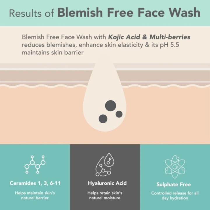 Lotus Dermabotanics Kojic Acid + Multi Berry Blemish - Free Face Wash